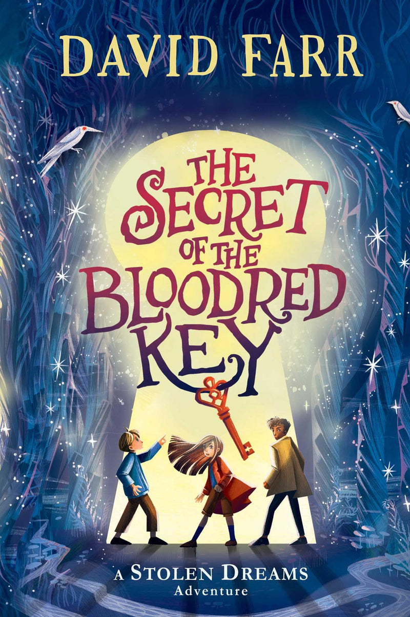The Secret of the Bloodred Key (2) (The Stolen Dreams Adventures)