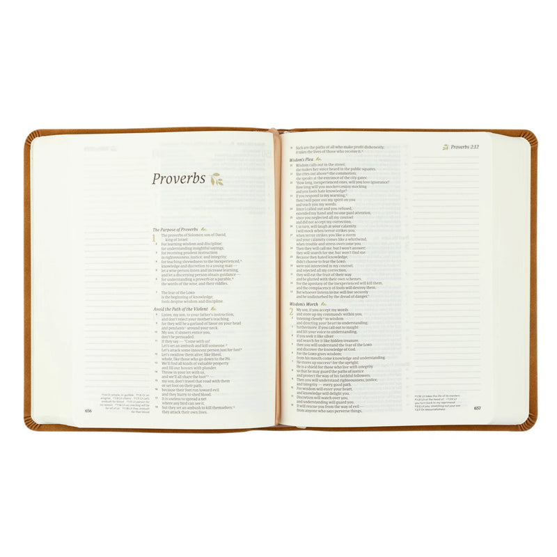 CSB Notetaking Bible (Amelia Theme)