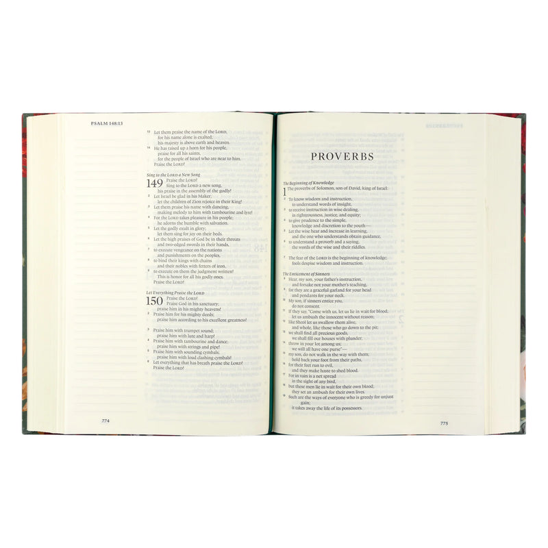 ESV Single Column Journaling Bible (Hollis Theme)