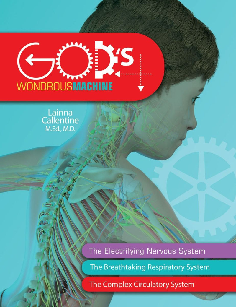 God's Wondrous Machine