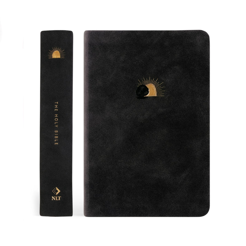 NLT Compact Bible (Jerusalem Theme)