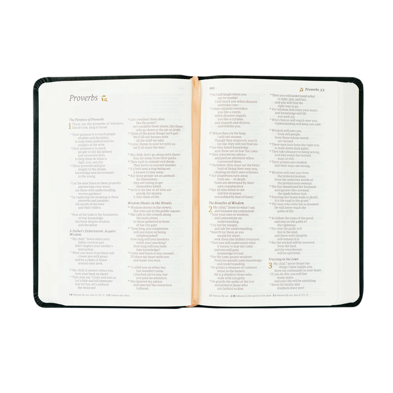 NLT Compact Bible (Jerusalem Theme)