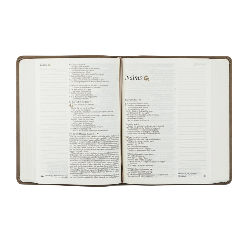 NLT Notetaking Bible (Marlo Theme)