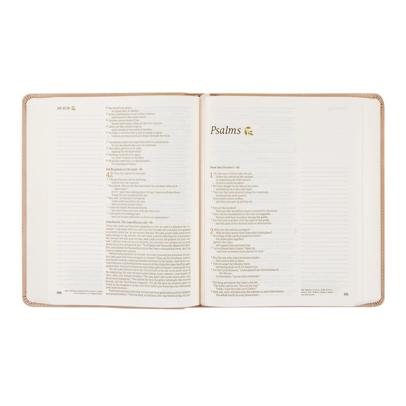 NLT Notetaking Bible (Shiloh Theme)