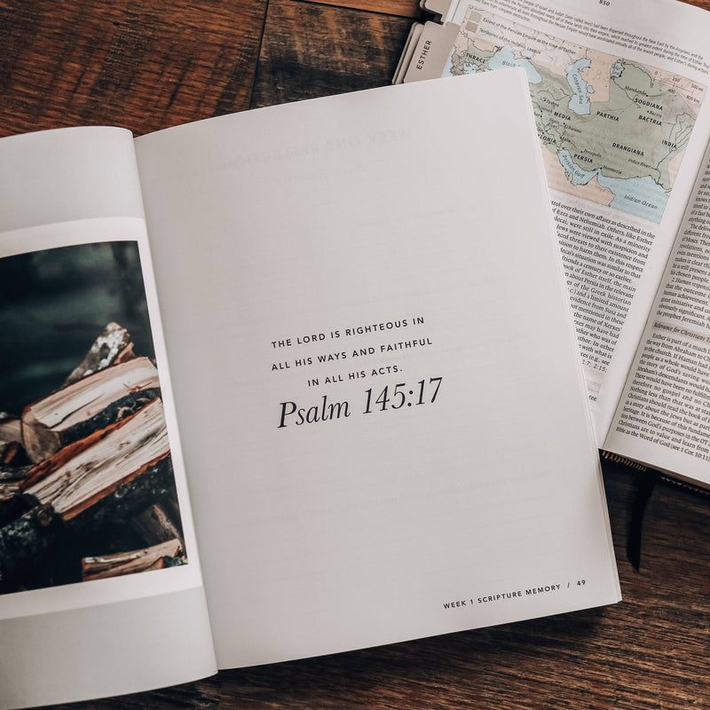 Esther | Seeing God When He Is Silent for Men