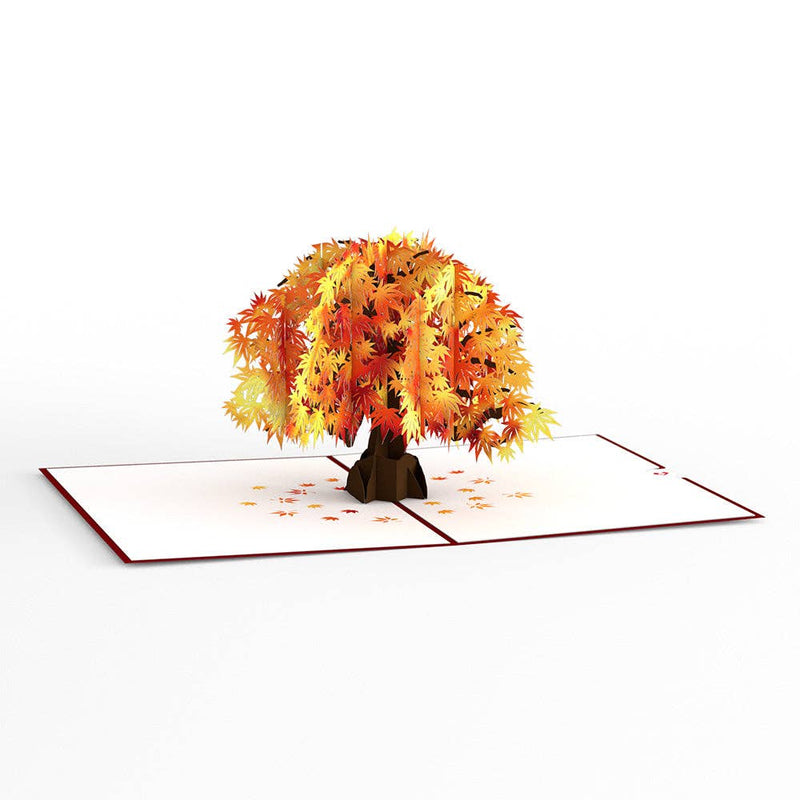 Sugar Maple Tree 5''x7'' Card, Fall, Fall Deco
