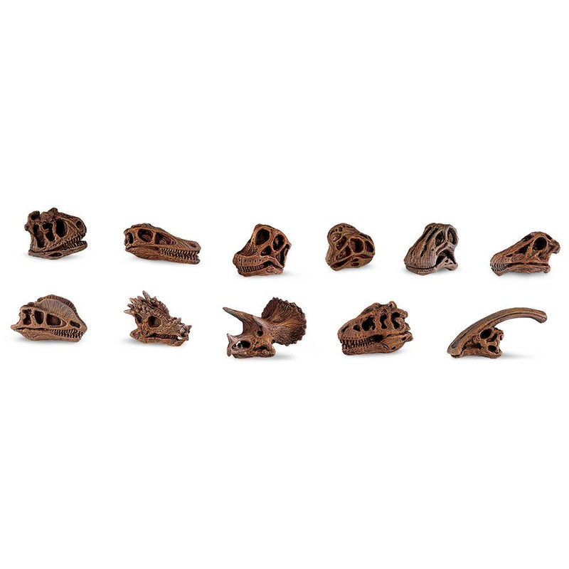 Dinosaur Skulls TOOB®