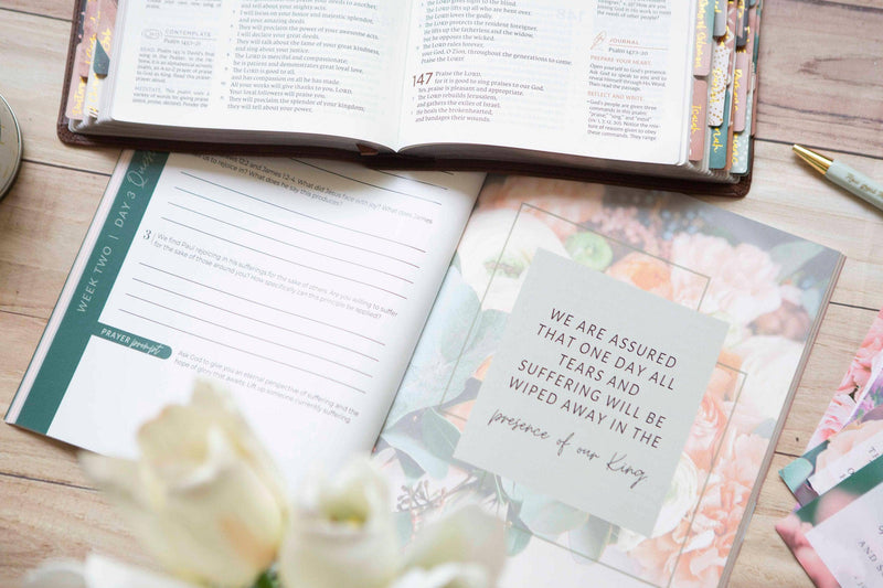 Colossians Bible Study | Exalted