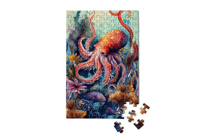 Octopus - Marine Life Scuba 