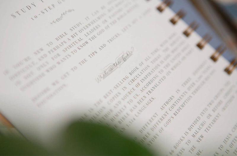 Bible Journal for Verse by Verse Bible Study