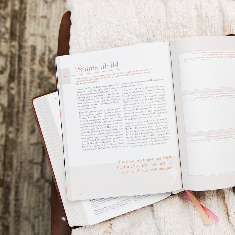 Eden to Eternity | The Chronological Story of Scripture | Volume 2