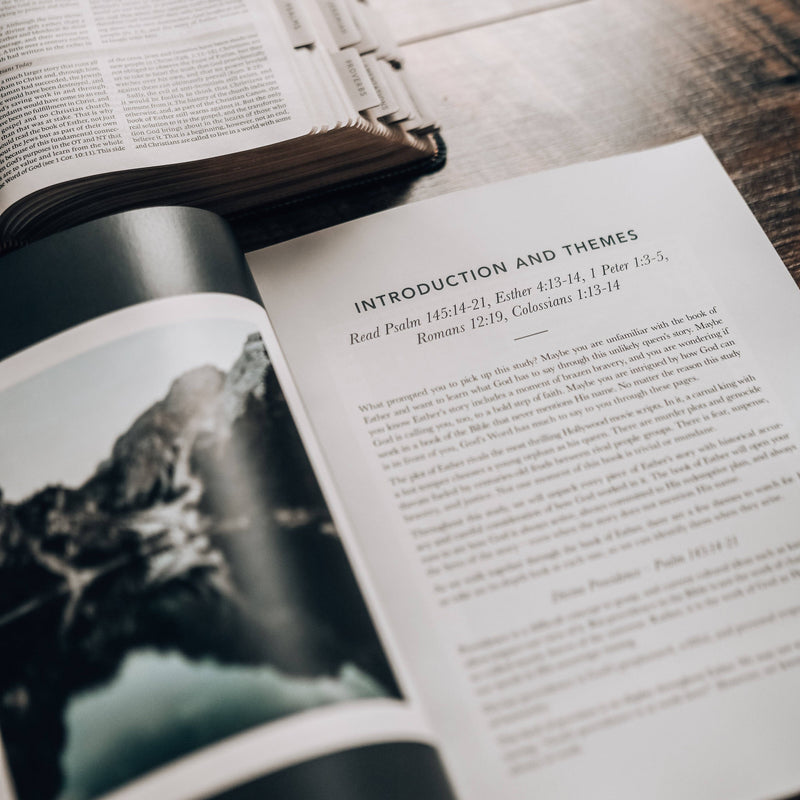 Esther | Seeing God When He Is Silent for Men