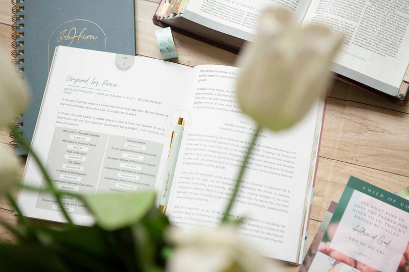 Colossians Bible Study | Exalted