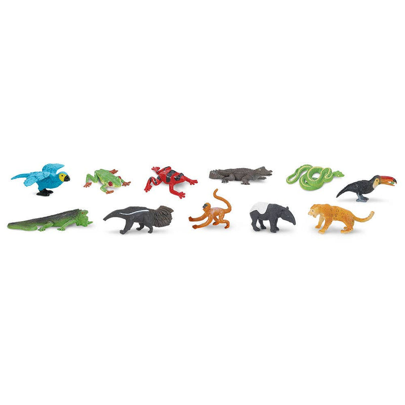 Rainforest TOOB® - 680504